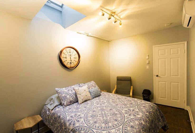 اتاق سوپریور, The Only Backpacker S Inn