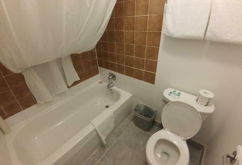 Номер Стандарт 2 Двуспальные Кровати, Northlander Motel