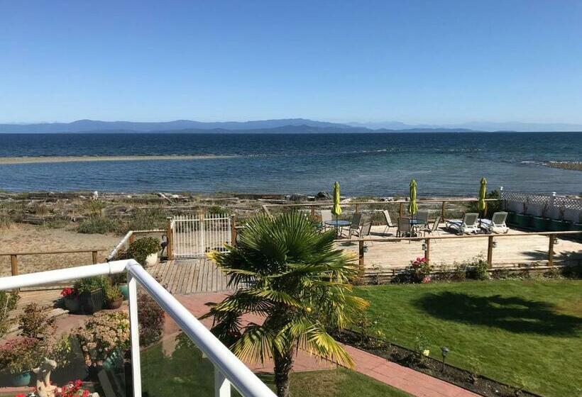 سوئیت پریمیوم, Buena Vista By The Sea