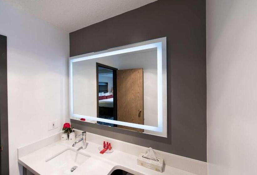 חדר סטנדרט, Surestay Hotel By Best Western Castlegar