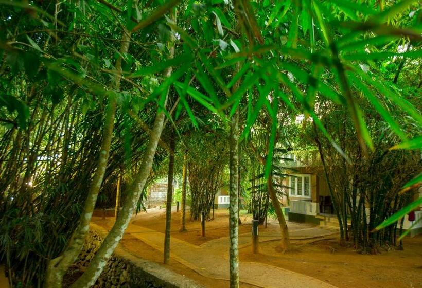 디럭스 코티지, Nexstay Lakkidi Village Resort