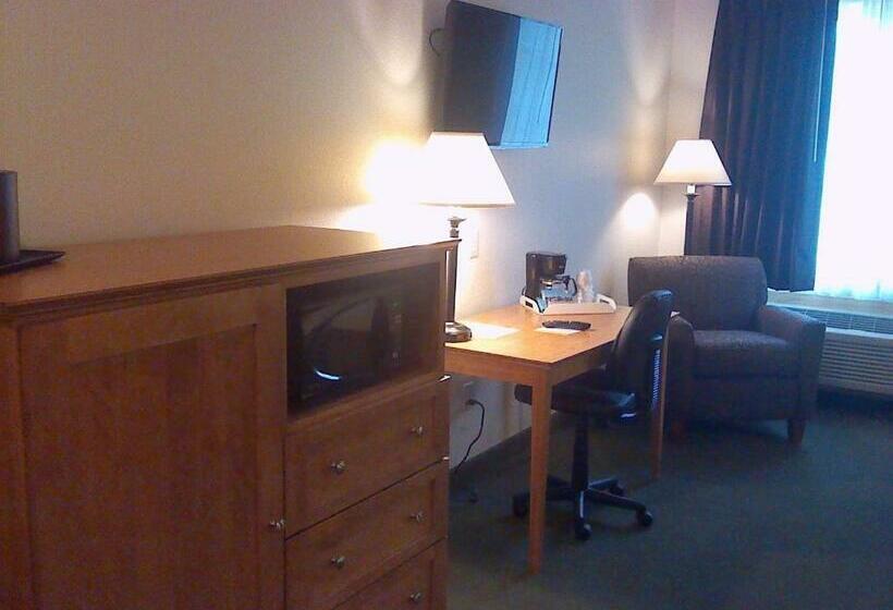 Стандартный Номер Кровать Кинг, Junction Inn Suites & Conference Center
