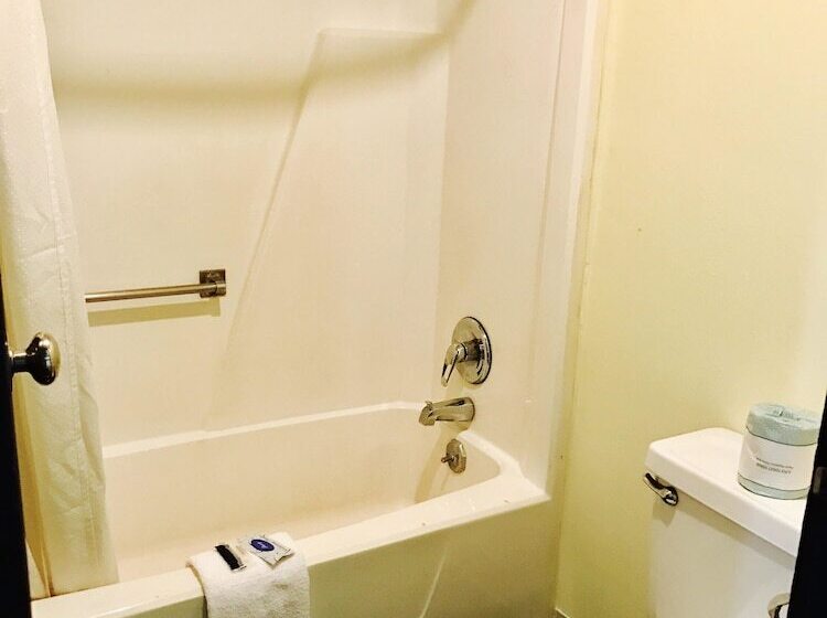 Номер Стандарт 2 Двуспальные Кровати, Greystone Motel