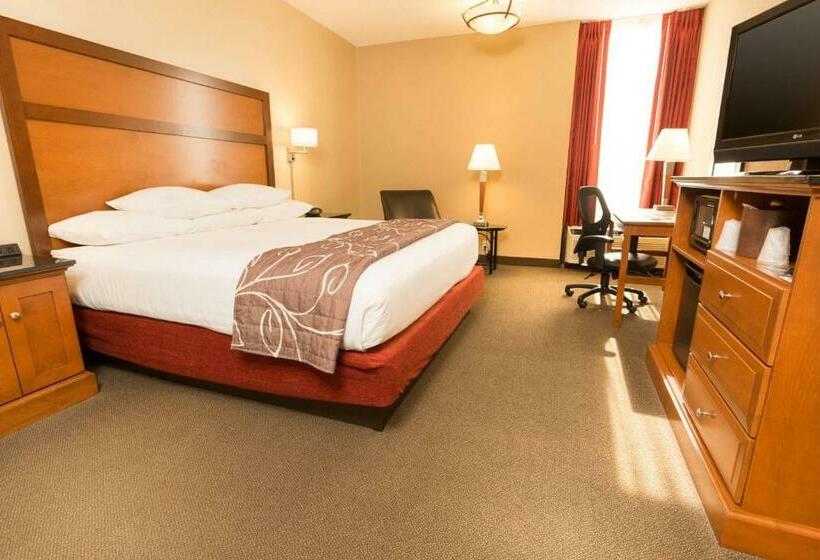 带大床的豪华间, Drury Inn & Suites Springfield Mo