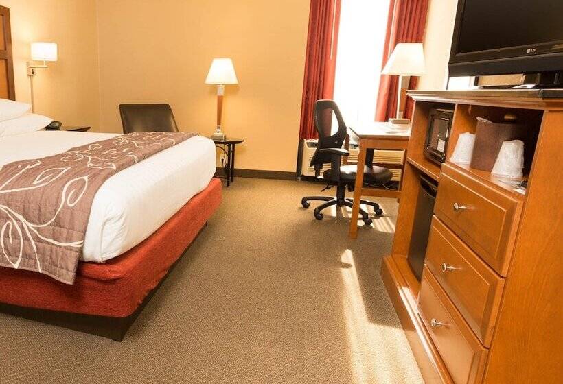 豪华房间, Drury Inn & Suites Springfield Mo