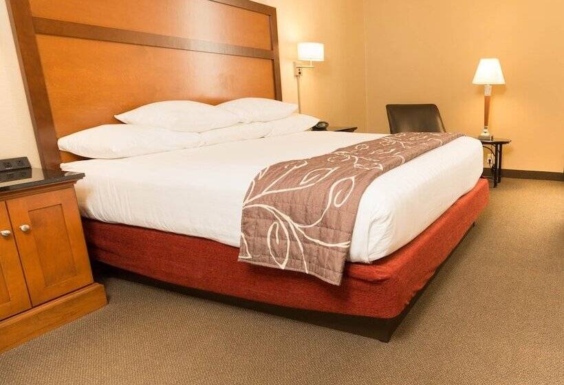 Номер Deluxe Адаптированный для Инвалидов, Drury Inn & Suites Springfield Mo