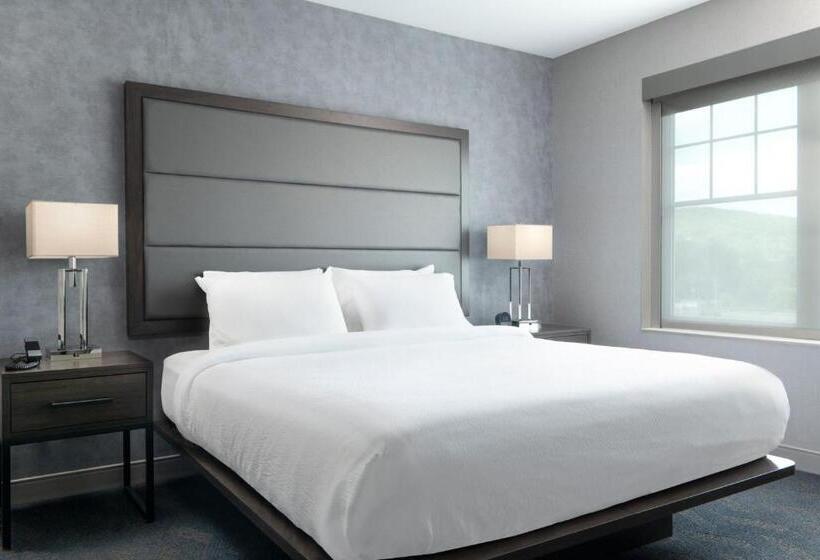 Студио Стандарт Кровать Кинг, Residence Inn By Marriott Orangeburg