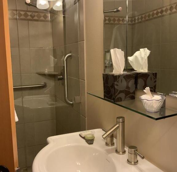 스탠다드 싱글 룸, Twisp River Suites