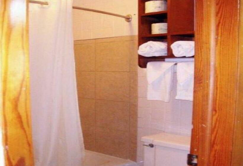 غرفة قياسية سرير كينج, Budget Inn Palmyra