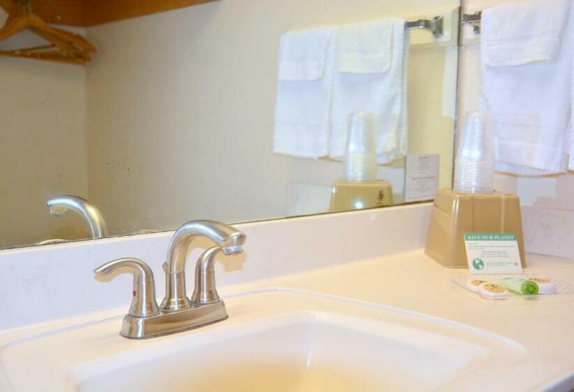Habitació Estàndard, Flamingo Inn