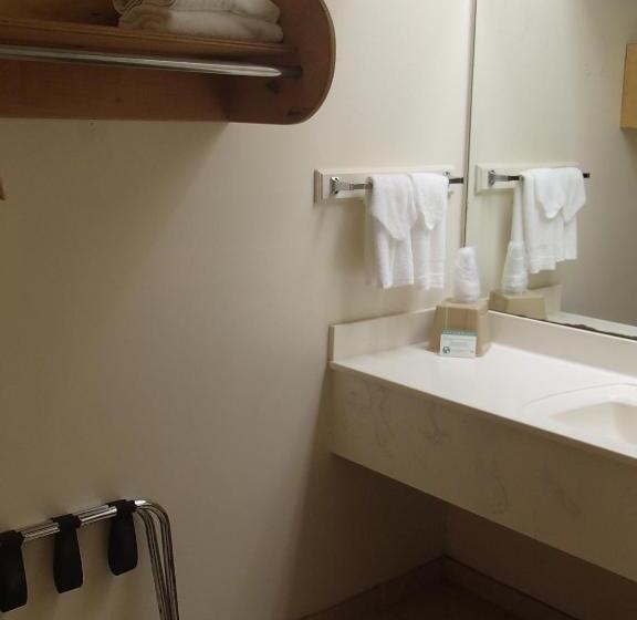 Habitació Estàndard Llit King, Flamingo Inn