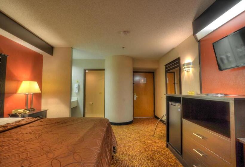 Стандартный Номер Кровать Кинг, Smoky Mountain Inn & Suites