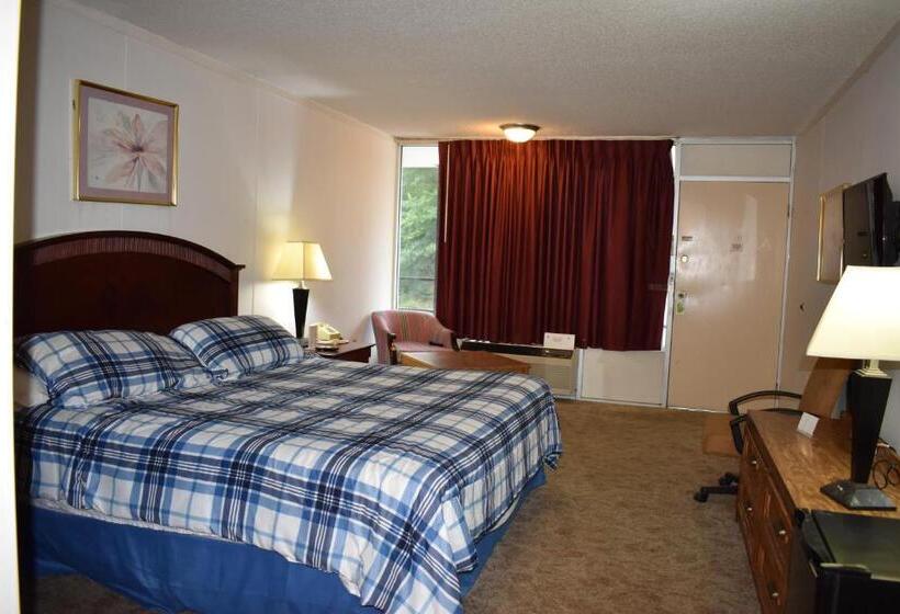 חדר סטנדרט עם מיטת קינג, Thurman S Lodge