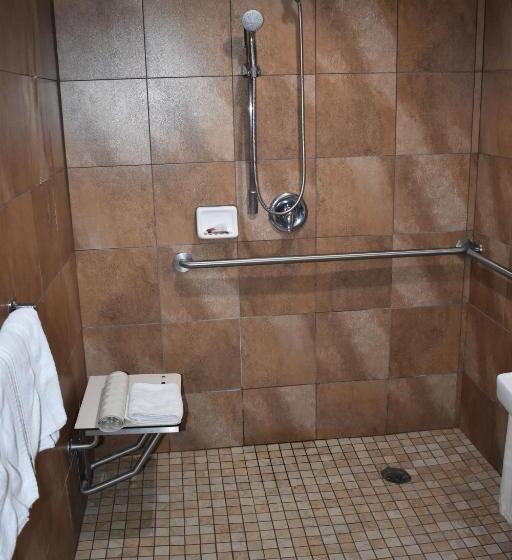 身障者適用スタンダードルーム, Apex Inn