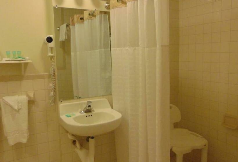 스탠다드 룸 킹사이즈 침대, Oceanside Lodge