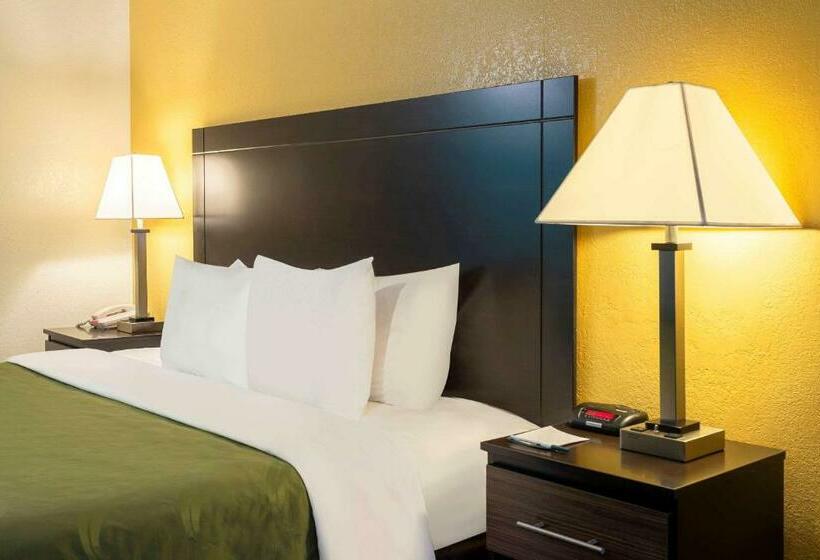 Quarto Estandar Cama King, Quality Inn At Arlington Highlands