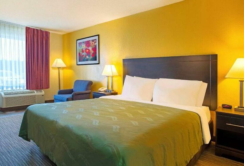 Quarto Estandar Cama King, Quality Inn At Arlington Highlands