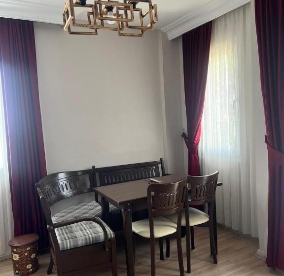 דירת שני חדרים, Efendi Apart