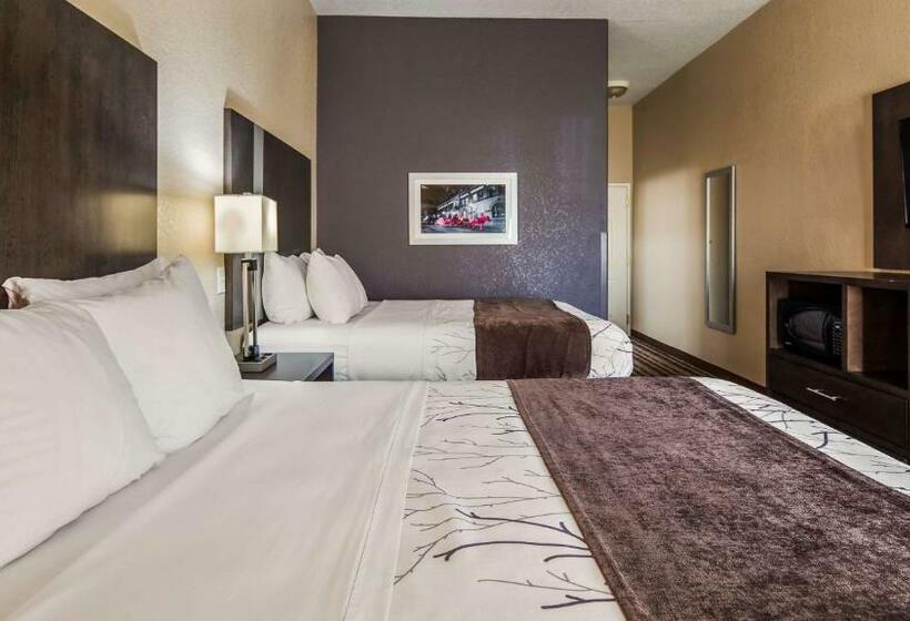Номер Стандарт, Best Western Boerne Inn & Suites