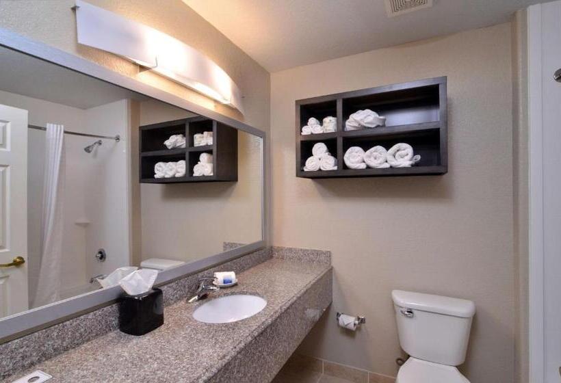 Стандартный Номер Кровать Кинг, Best Western Boerne Inn & Suites