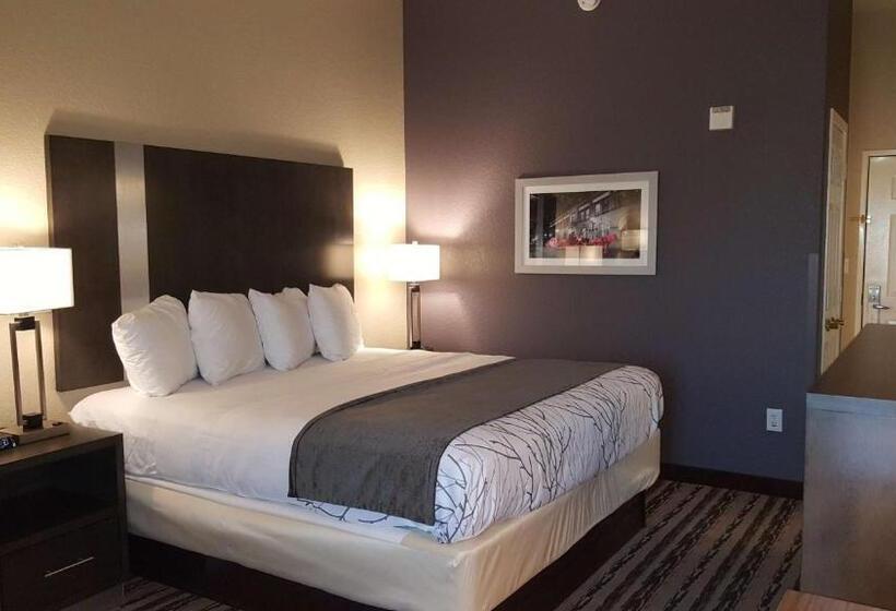 Quarto Estandar Cama King, Best Western Boerne Inn & Suites