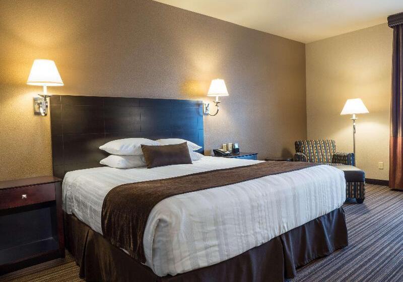 Quarto Estandar Cama King, Best Western Boerne Inn & Suites