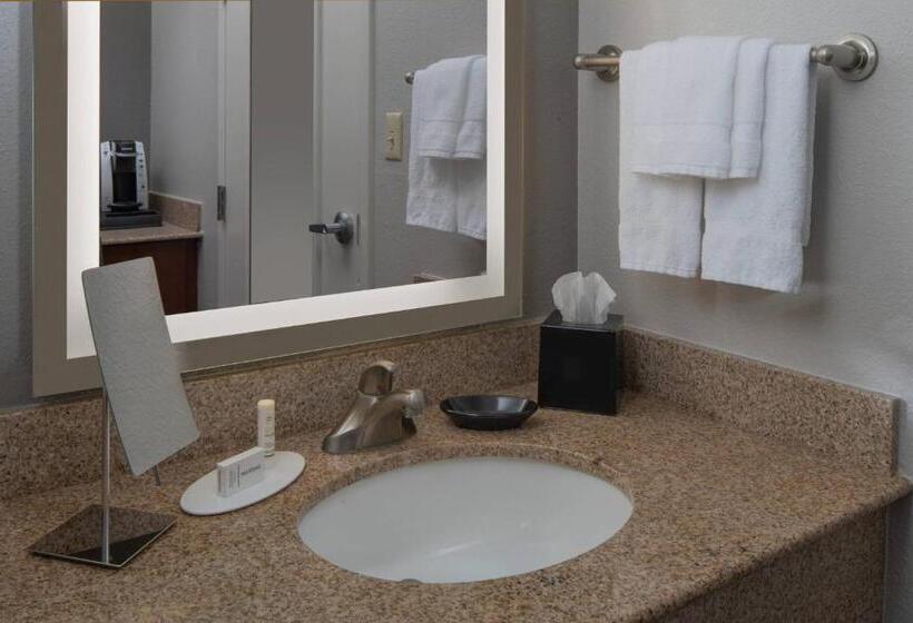 Quarto Executivo, Courtyard By Marriott Jacksonville At The Mayo Clinic Campus/beaches