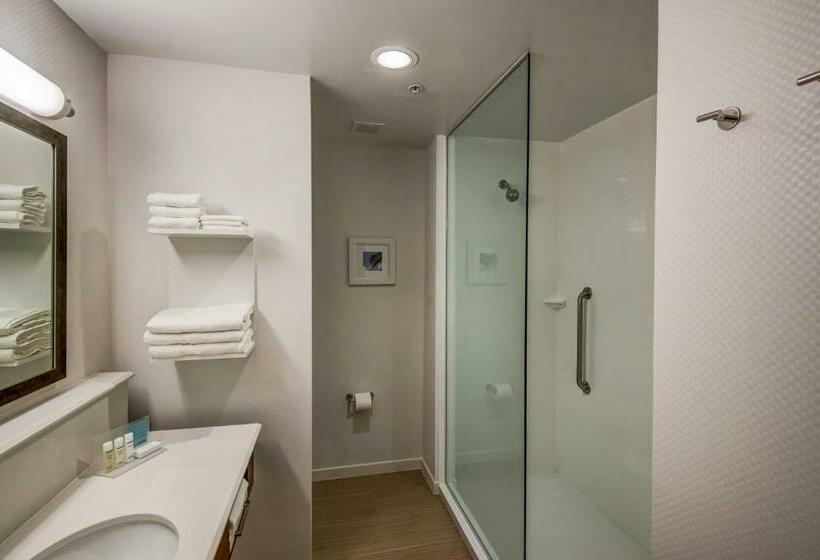 스탠다드 룸 킹사이즈 침대, Hampton Inn By Hilton Plant City