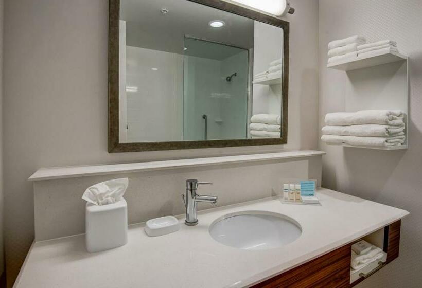 이그제큐티브 룸 킹사이즈 침대, Hampton Inn By Hilton Plant City