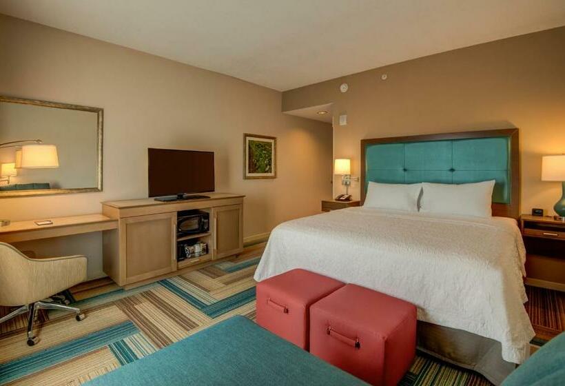 장애인을 위한 킹사이즈 침대 스탠다드 룸, Hampton Inn By Hilton Plant City