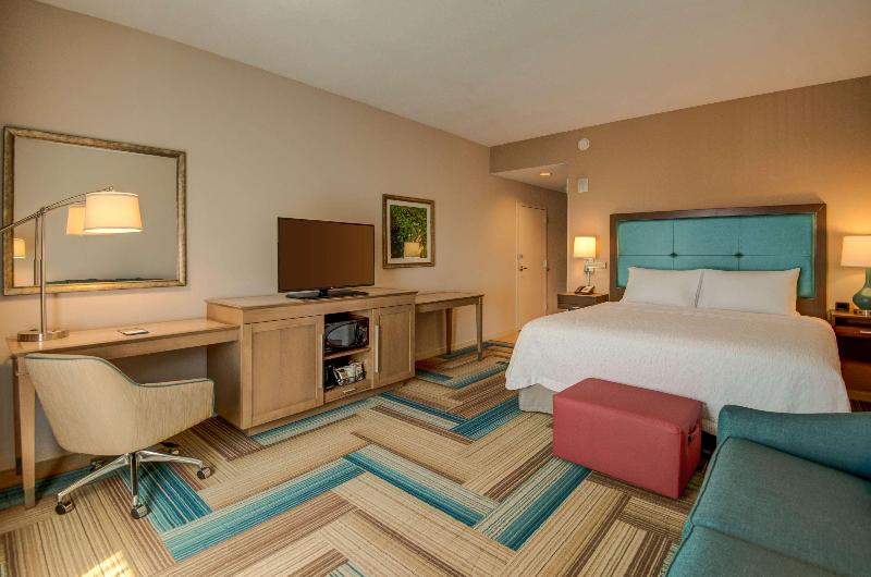 스탠다드 룸 킹사이즈 침대, Hampton Inn By Hilton Plant City