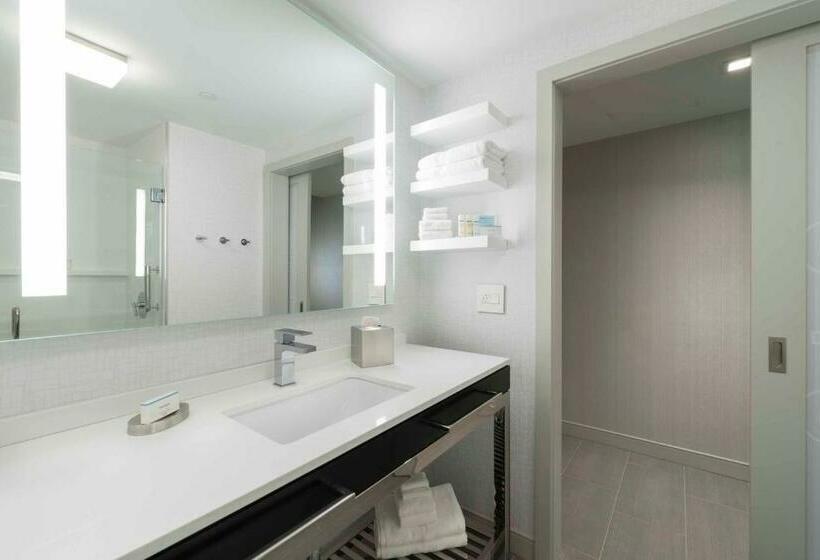 스탠다드 룸 킹사이즈 침대, Hampton Inn & Suites Bridgewater