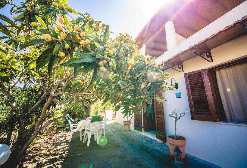 آپارتمان خانوادگی, Casa Papiro