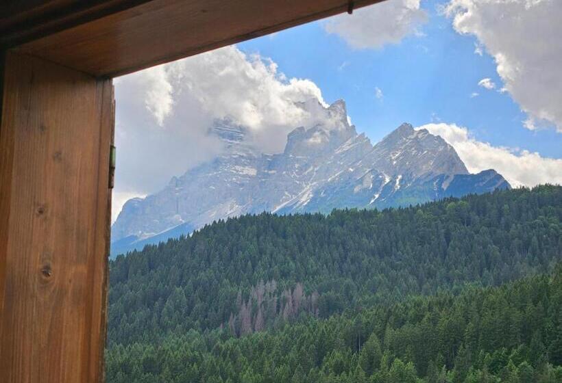 اتاق استاندارد, Nevada