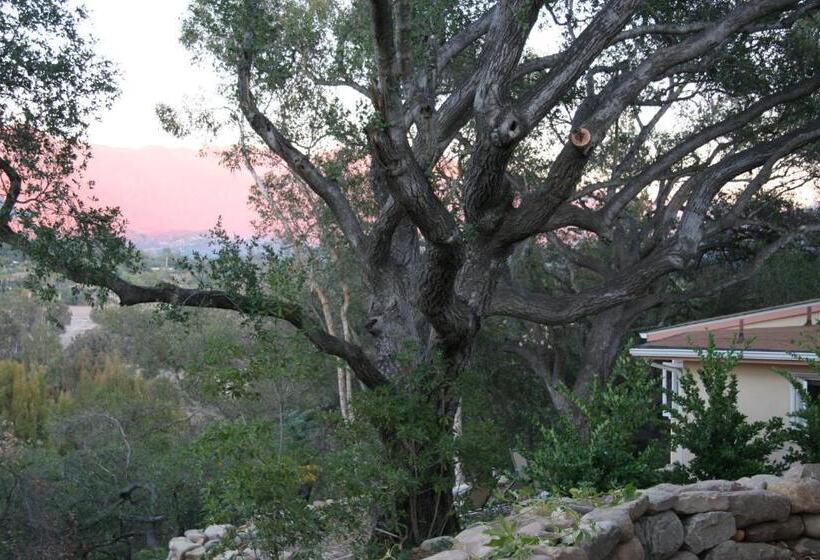 Номер Стандартный с Видом, Ojai Retreat & Inn