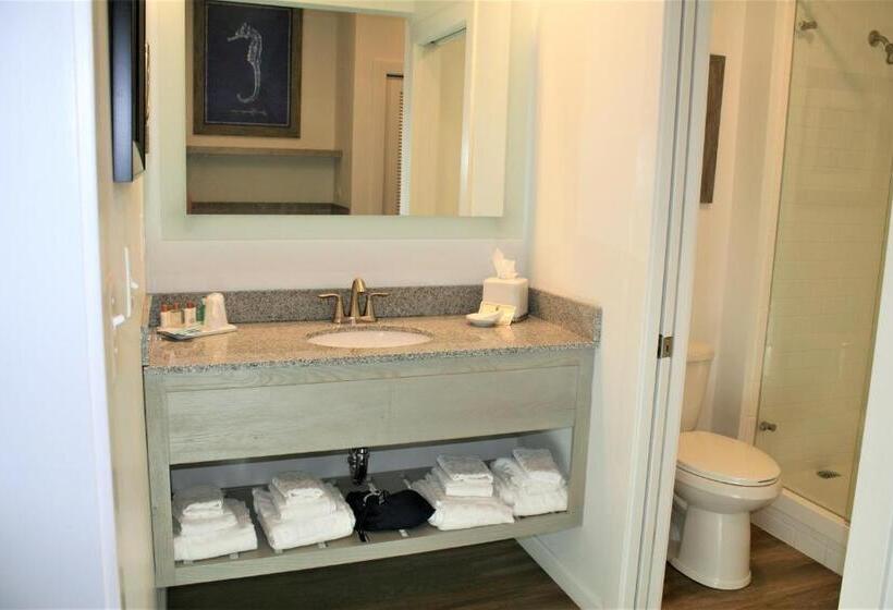 اتاق سوپریور با تخت بزرگ, Avenue Inn & Spa