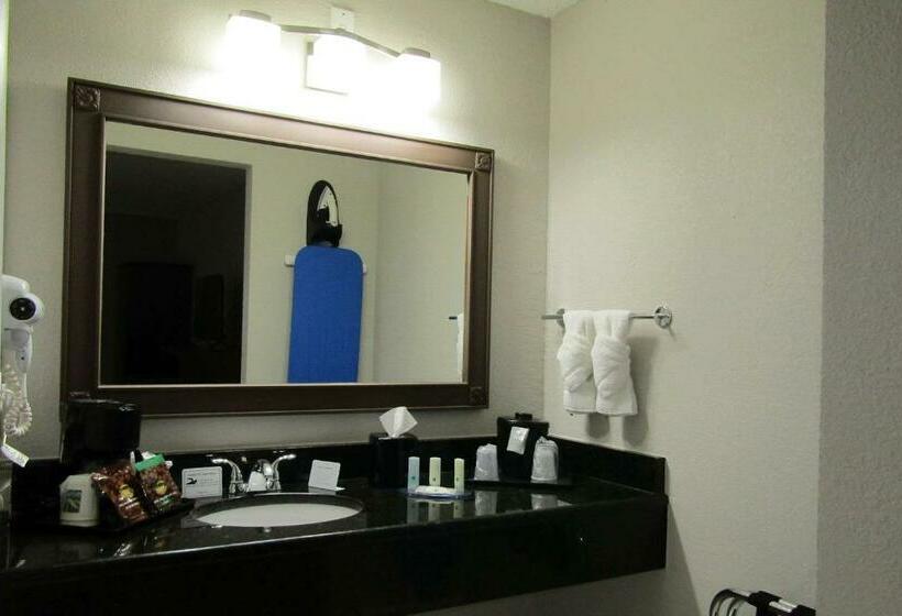 Номер Стандарт 2 Двуспальные Кровати, Quality Inn & Suites Kissimmee By The Lake