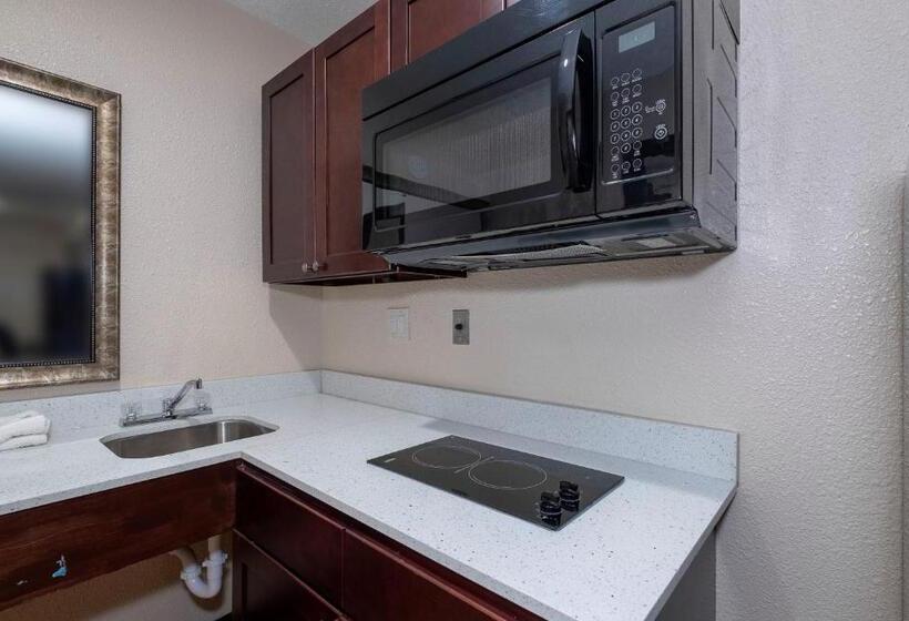 스탠다드 룸 킹사이즈 침대, Red Roof Inn Morgan City