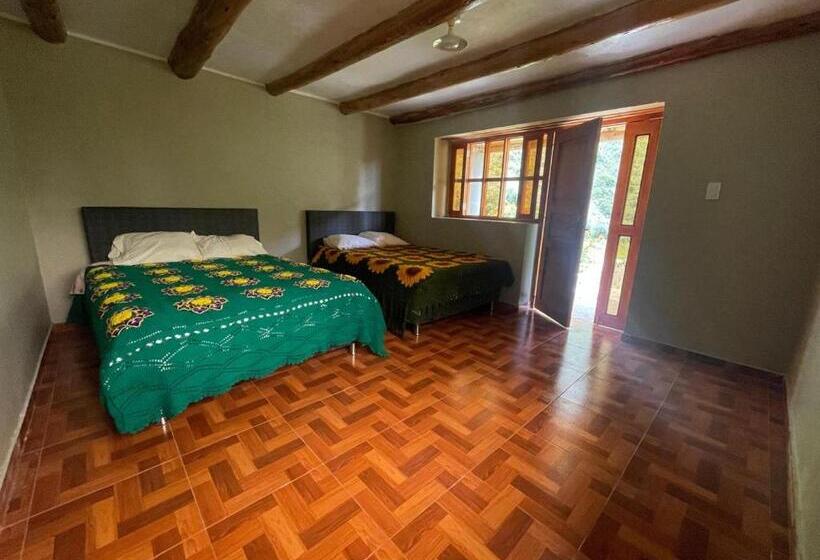 اتاق استاندارد, Albergue Casa De Piedra   Vaquería