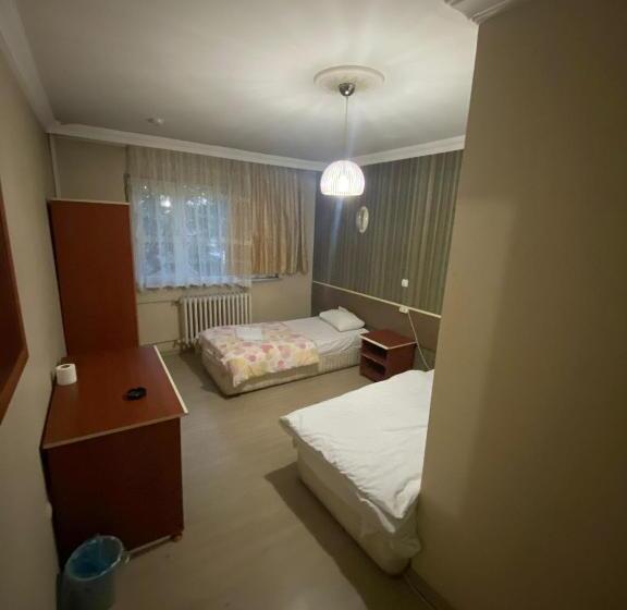 Номер Deluxe Одноместный, Aras Hotels çorlu
