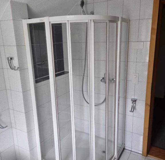 Номер Стандарт Совместная Ванная, Haus Biasca