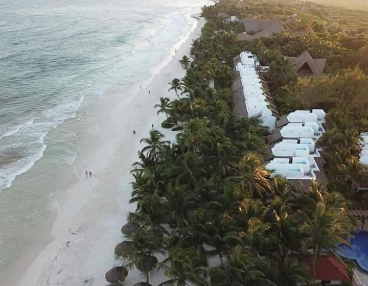 ルームシェアのワンベッド, Emotion Avenida Tulum Hotel & Hostal