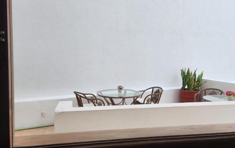 اتاق استاندارد چهارنفره با چشم‌انداز باغ, Hill House Mazatlan   Bed & Breakfast