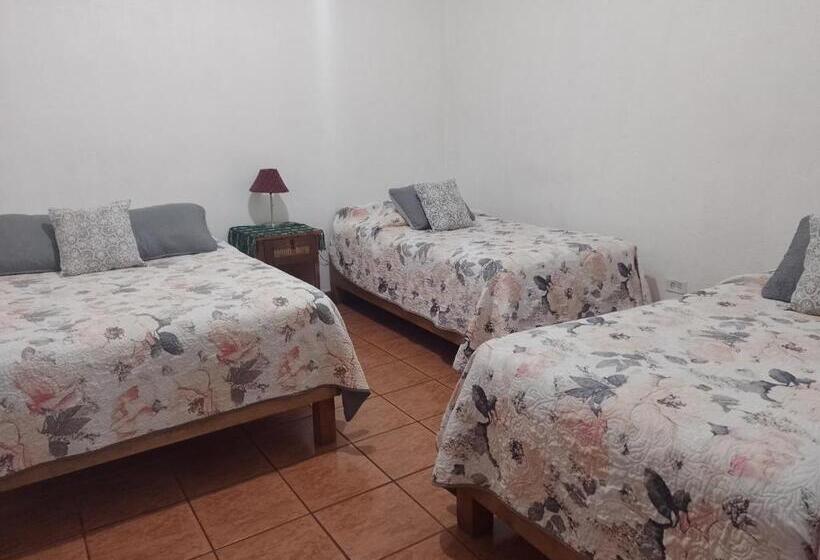 经济四人房间, Pension Baja Paradise