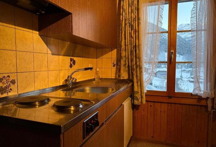 Апартаменты 1 Спальня с Видом, Bären Lodge