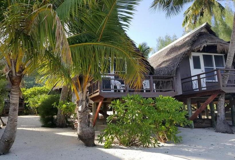 스탠다드 방갈로, Paradise Cove Lodge