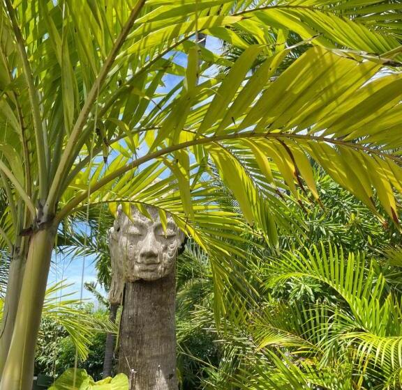 استودیو استاندارد با تراس, Résidence Adam Et Eve