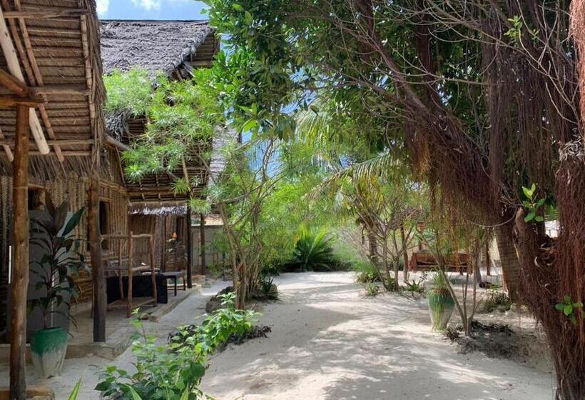 패밀리 룸, Summer Dream Lodge