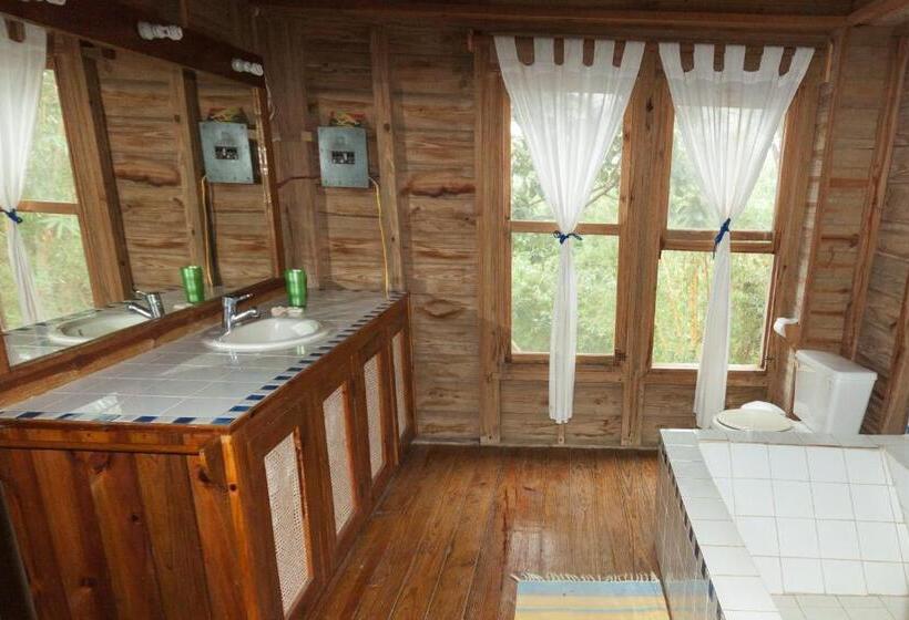 اتاق اکونومی, Roatan Bed & Breakfast Apartments