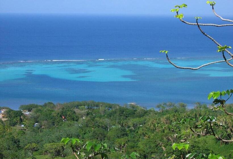 اتاق خانوادگی با چشم‌انداز دریا, Roatan Bed & Breakfast Apartments